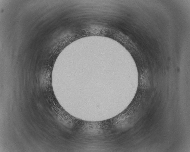 X0000086320820200703300903
