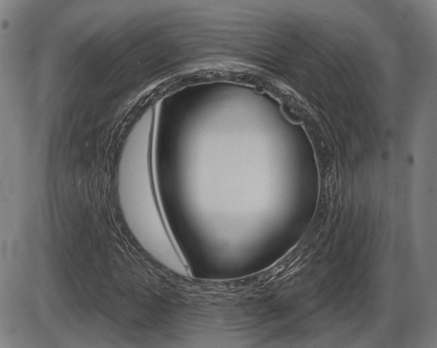 X0000086320822200703300903
