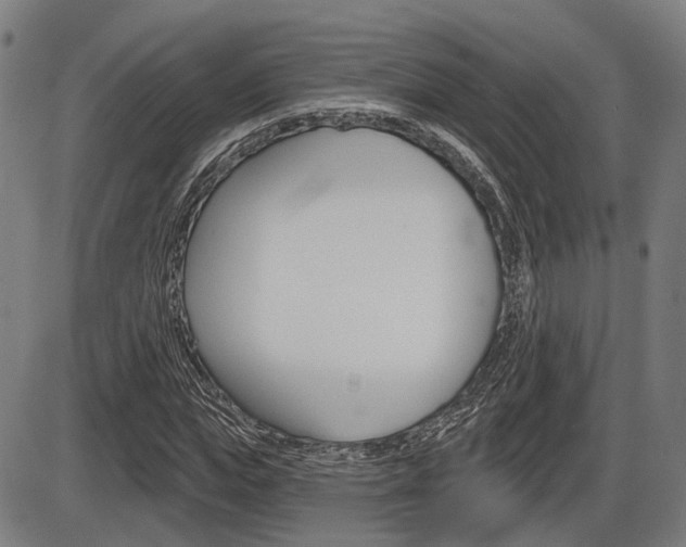 X0000086320823200703300903