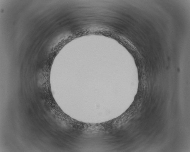 X0000086320824200703300903