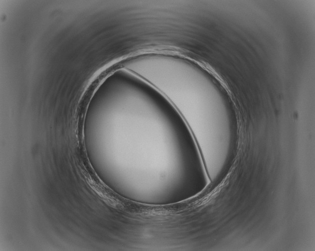 X0000086320830200703300903
