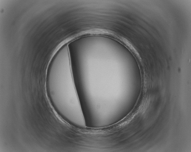 X0000086320845200703300903