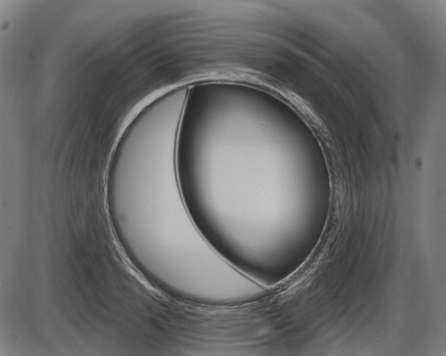 X0000086320846200703300903
