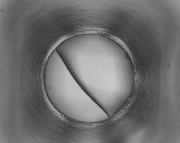 X0000086320859200703300903