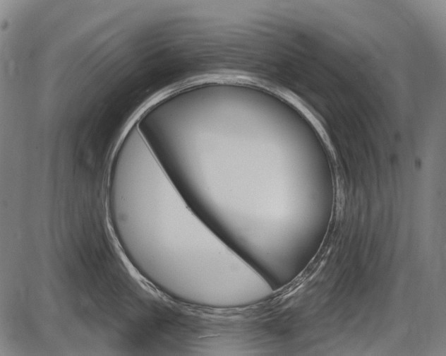 X0000086320861200703300903