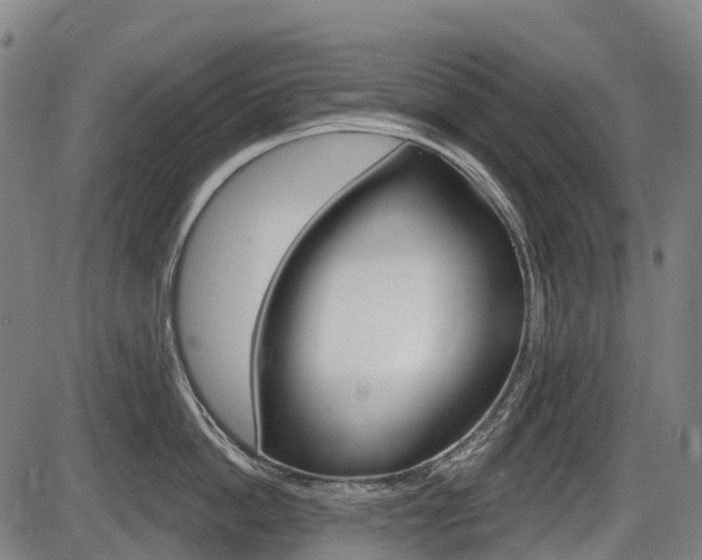 X0000086320862200703300903