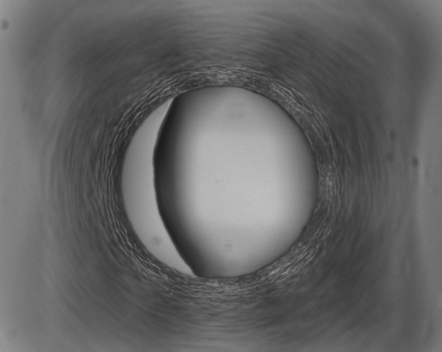 X0000086320865200703300902