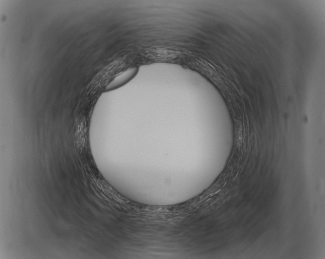 X0000086320866200703300902