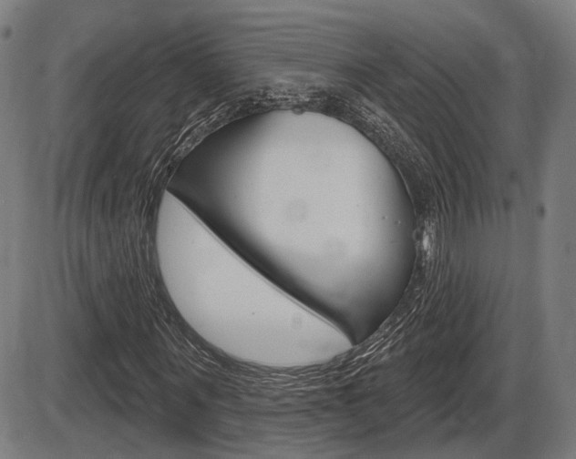X0000086320867200703300902