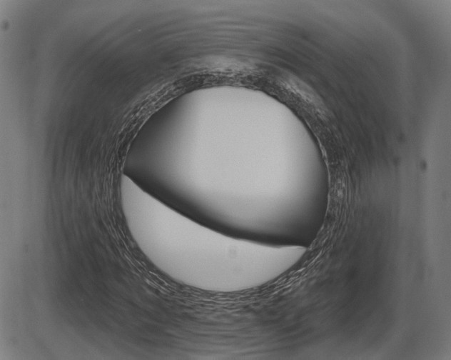 X0000086320869200703300902