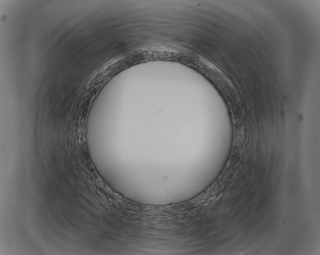 X0000086320870200703300902