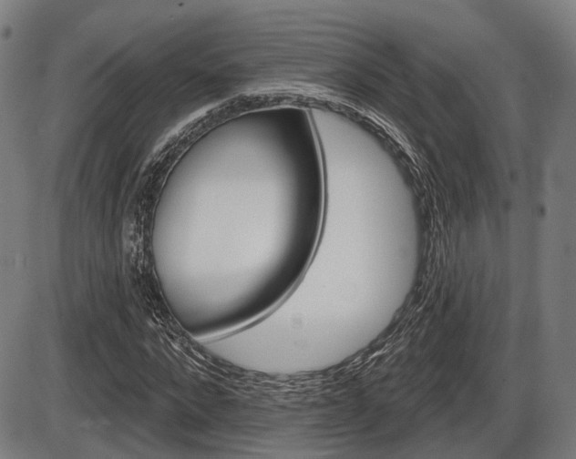 X0000086320872200703300902