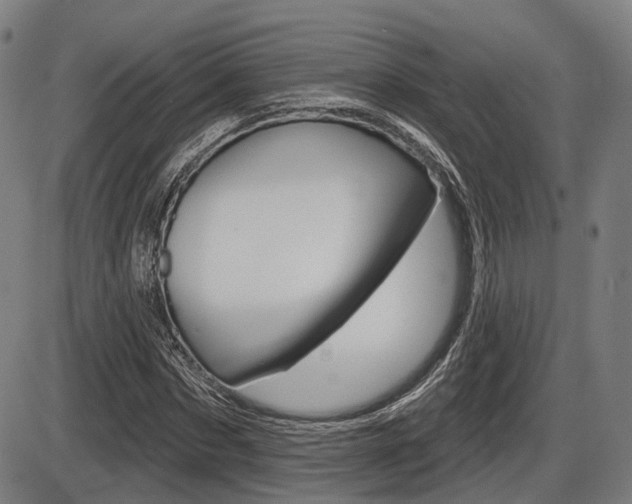 X0000086320873200703300902