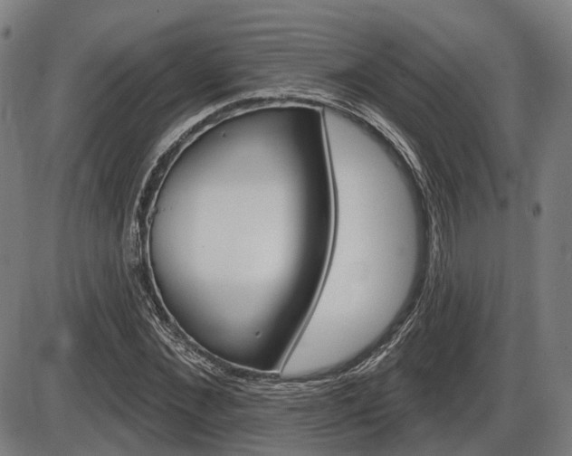 X0000086320876200703300902
