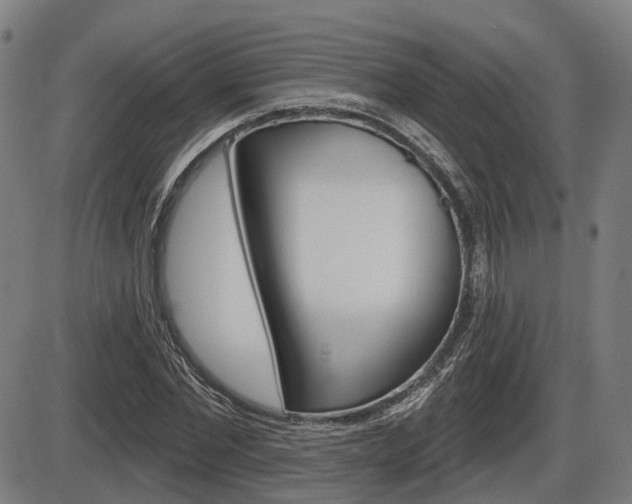 X0000086320877200703300902
