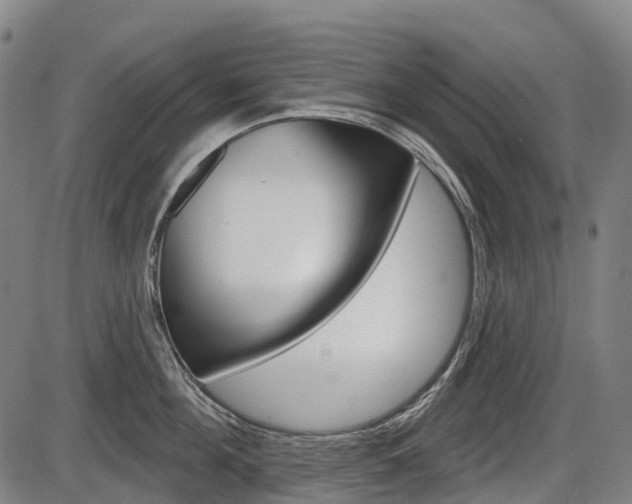 X0000086320908200703300902