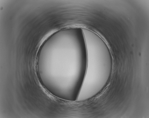 X0000086320909200703300902