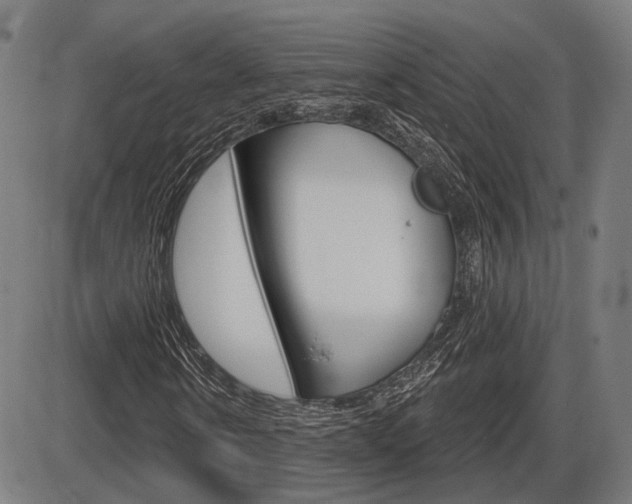 X0000086320914200703300901