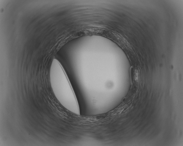 X0000086320915200703300901