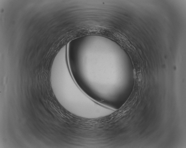 X0000086320916200703300901