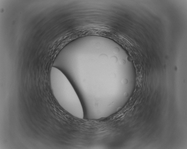 X0000086320917200703300901