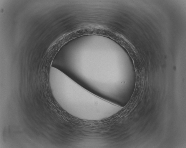 X0000086320919200703300901