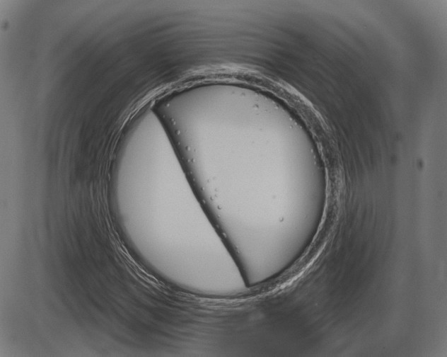 X0000086320921200703300901