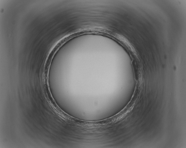 X0000086320924200703300901