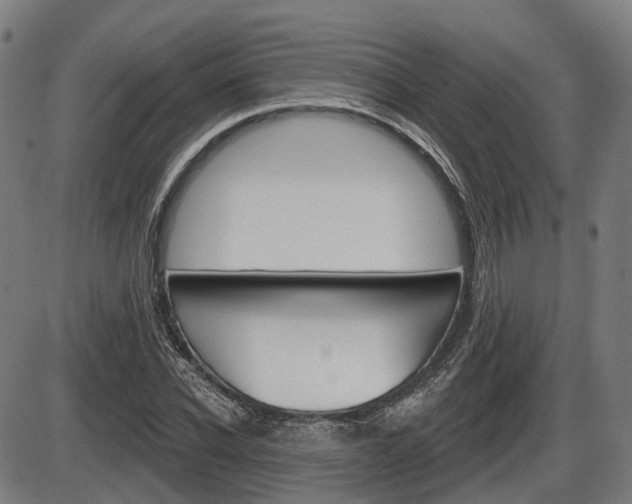 X0000086320926200703300901