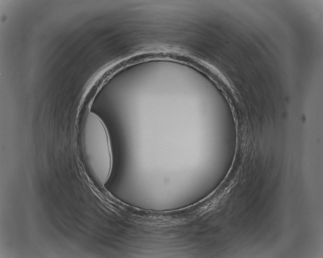 X0000086320927200703300901