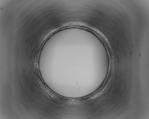 X0000086320929200703300901