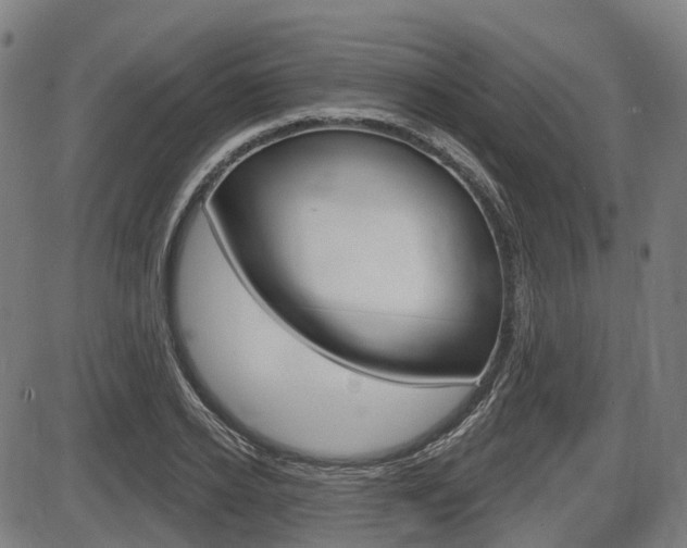 X0000086320934200703300901