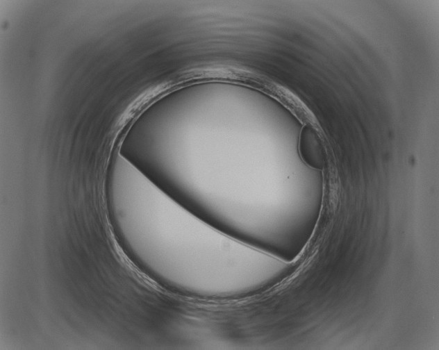 X0000086320938200703300901