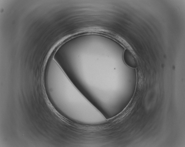 X0000086320939200703300901