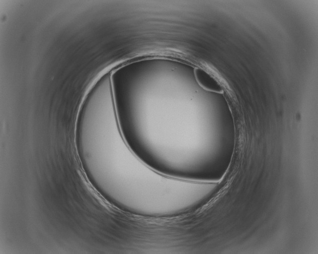 X0000086320940200703300901