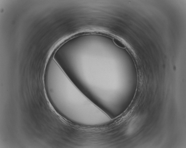 X0000086320943200703300901