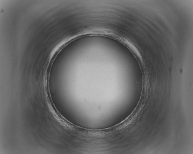 X0000086320944200703300901