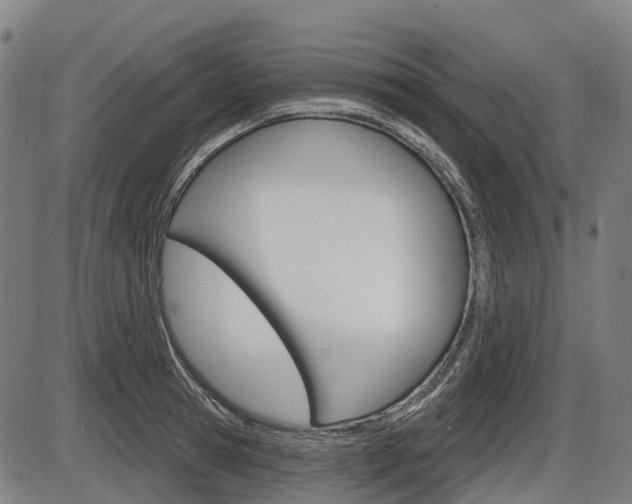 X0000086320945200703300901
