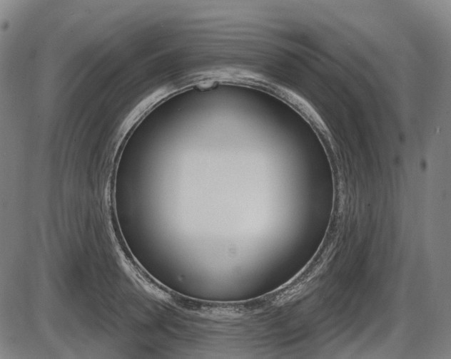 X0000086320946200703300901