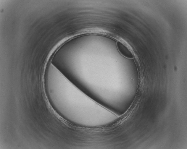 X0000086320947200703300901