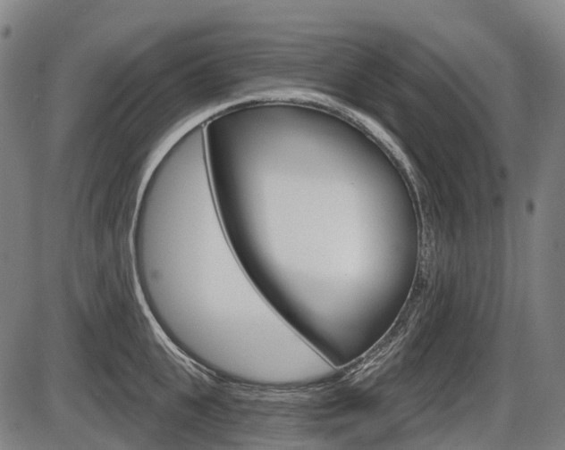 X0000086320951200703300902