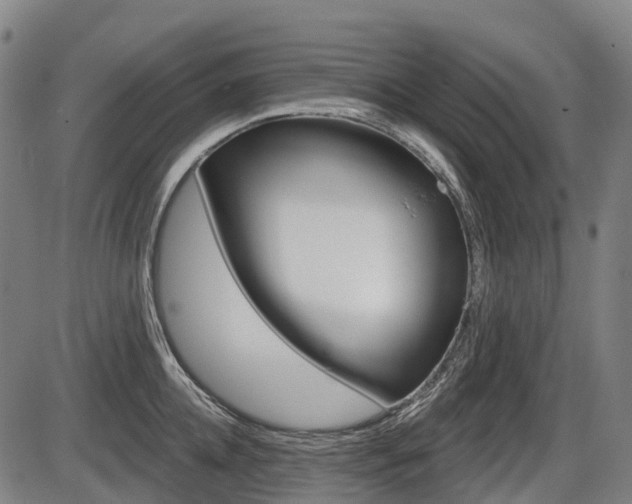 X0000086320952200703300902