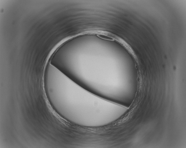 X0000086320955200703300902