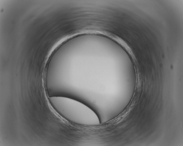 X0000086320958200703300902