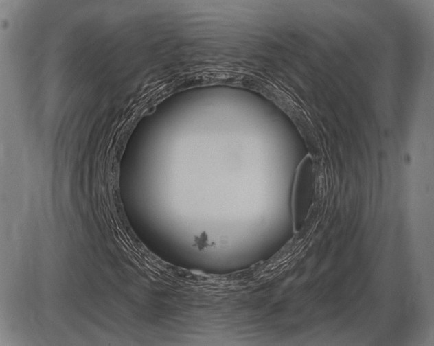 X0000086320961200703300901