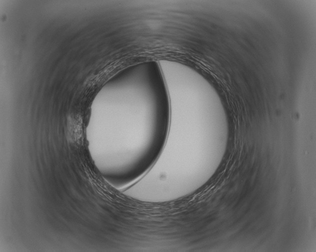 X0000086320963200703300901
