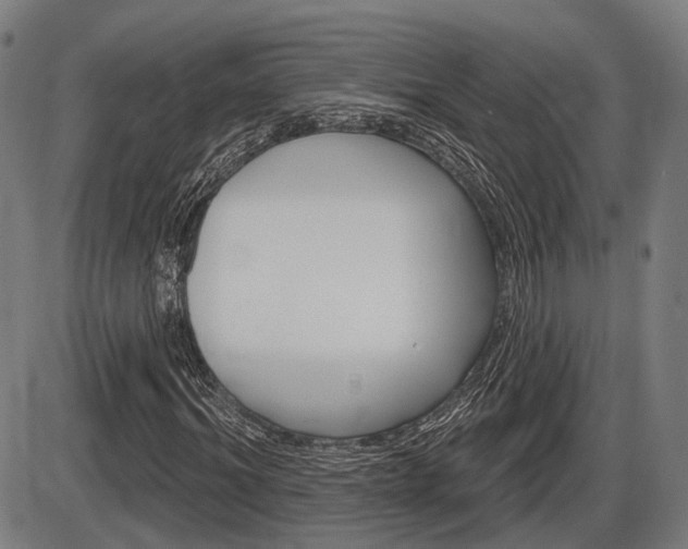 X0000086320964200703300901