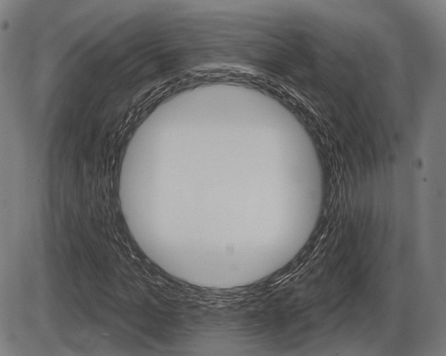 X0000086320965200703300901