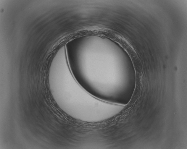 X0000086320968200703300901