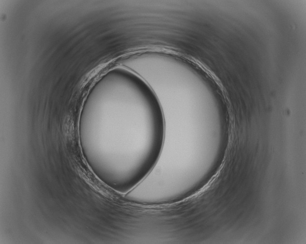 X0000086320969200703300901